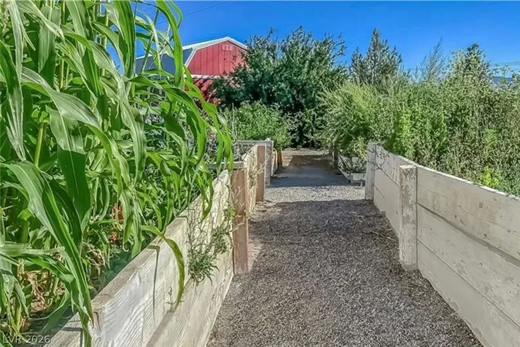 201 Lupin, Pahrump, NV 89048