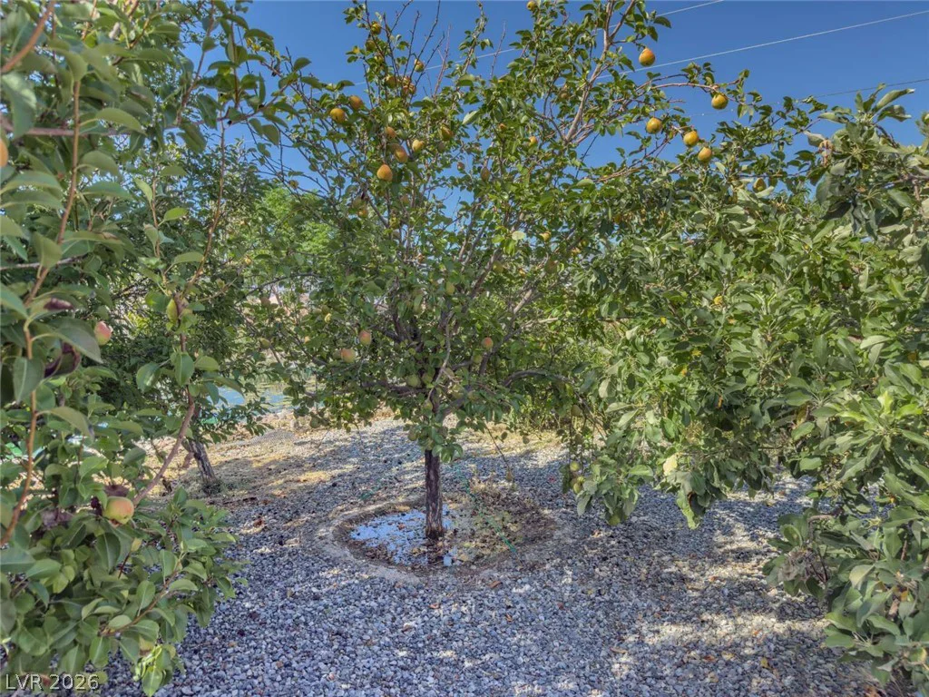 201 Lupin, Pahrump, NV 89048