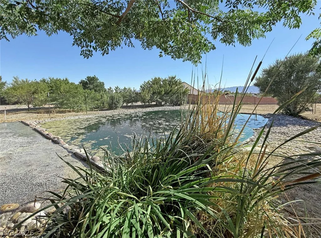 201 Lupin, Pahrump, NV 89048