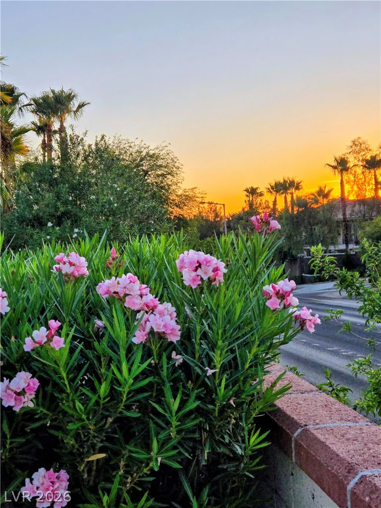 2312 Alpine Pointe, Las Vegas, NV 89134