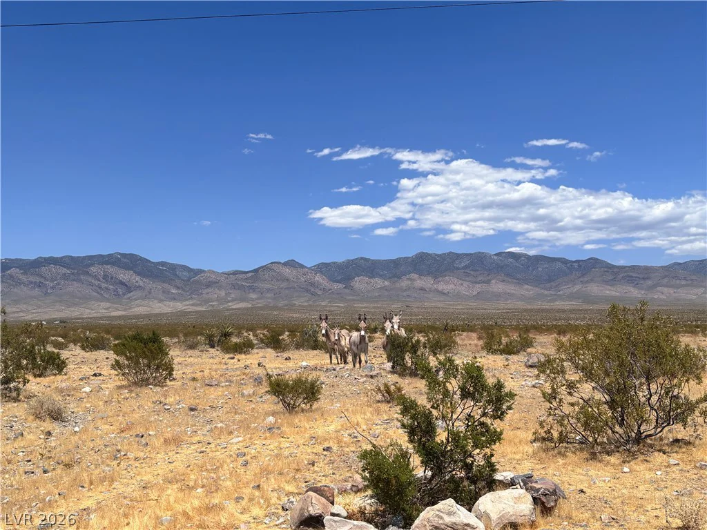 560 Stealth, Pahrump, NV 89060