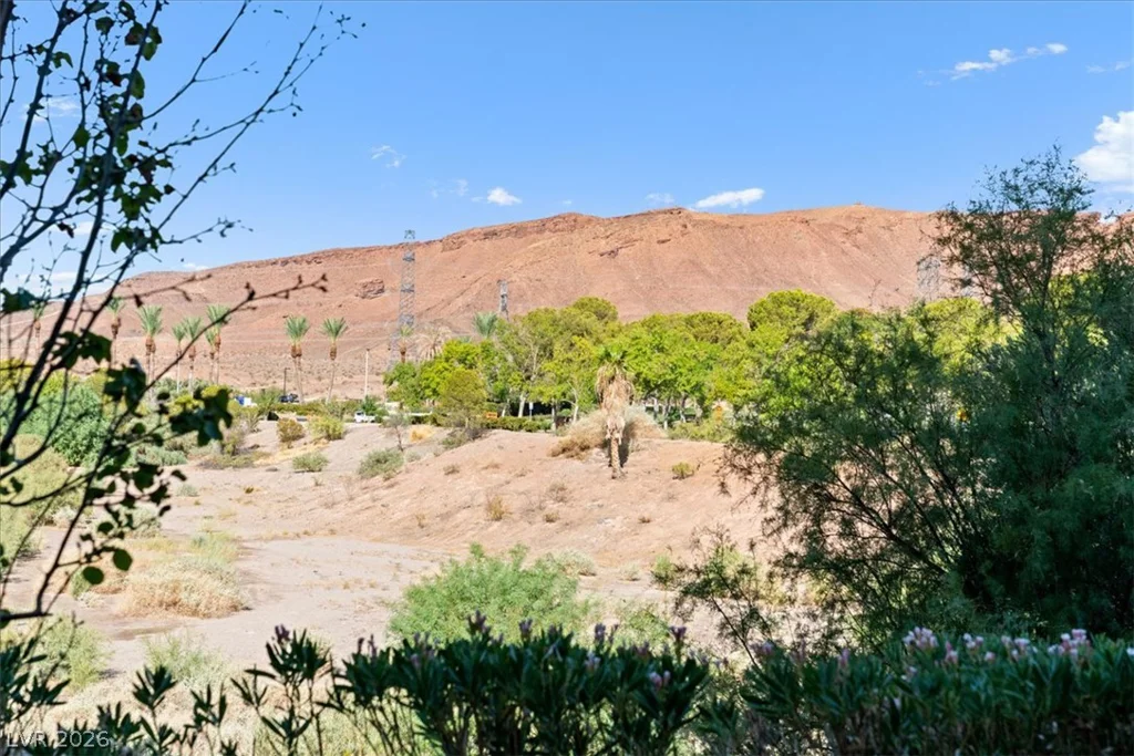 29 Montelago, Henderson, NV 89011
