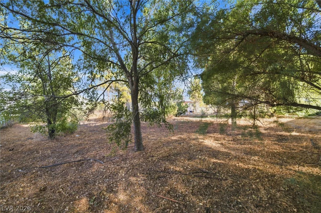 2891 Yucca Terrace, Pahrump, NV 89048