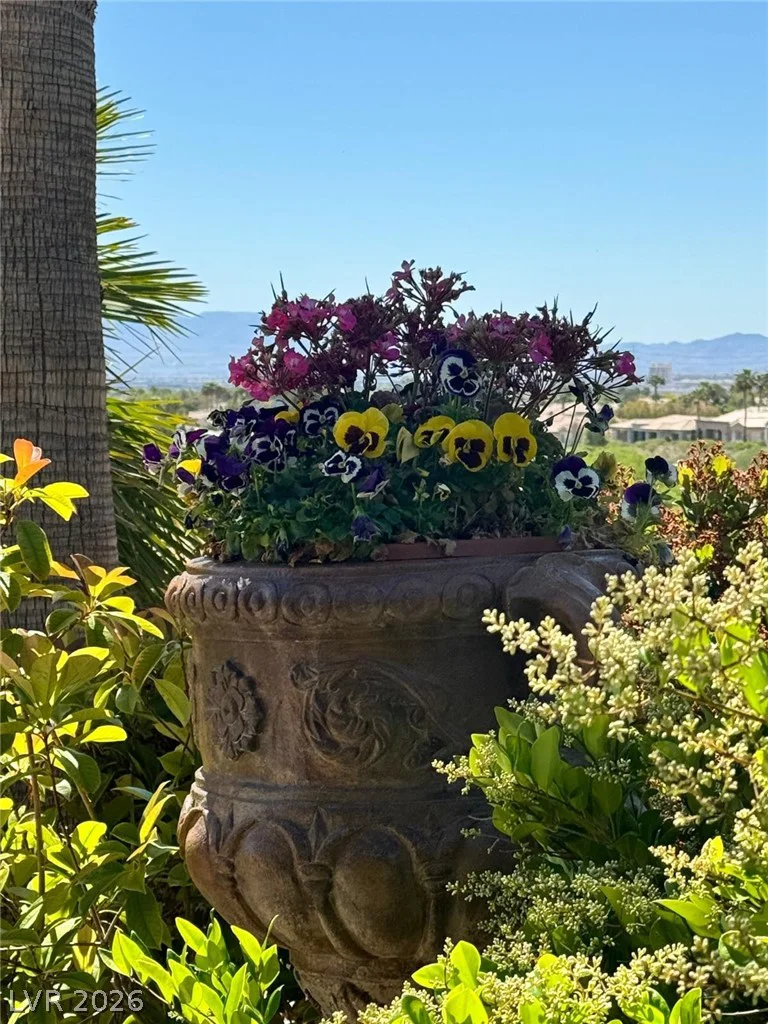 4596 Bersaglio, Las Vegas, NV 89135
