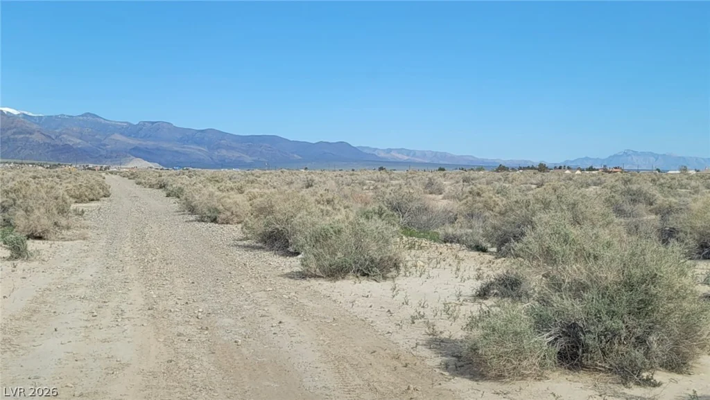 1821 Deputy, Pahrump, NV 89048
