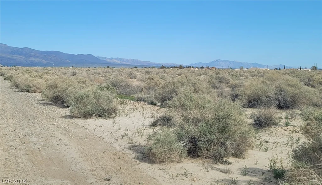 1821 Deputy, Pahrump, NV 89048