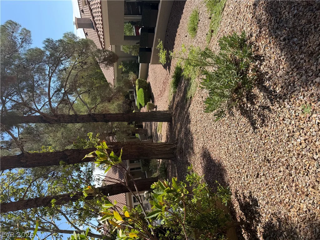 10001 Summer Oak, Las Vegas, NV 89134