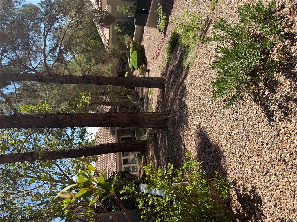 10001 Summer Oak, Las Vegas, NV 89134