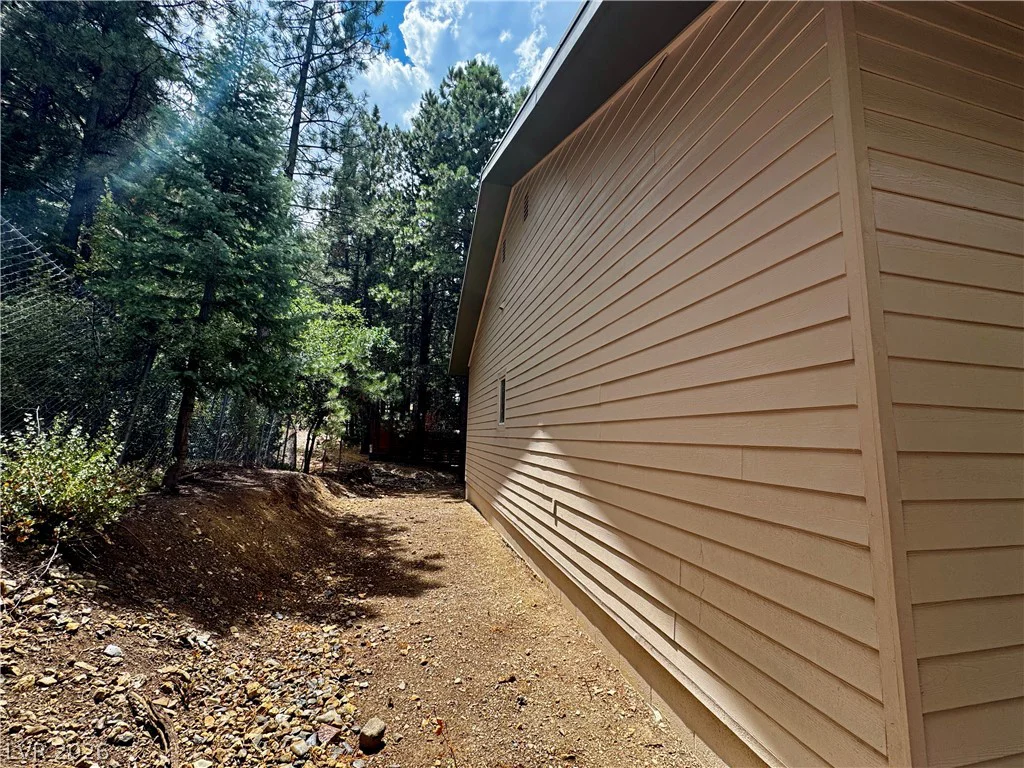 314 Alpine, Mount Charleston, NV 89124
