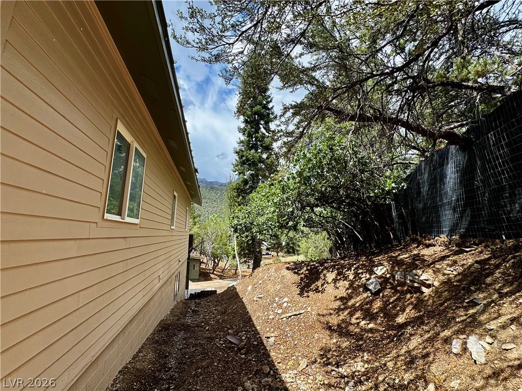 314 Alpine, Mount Charleston, NV 89124