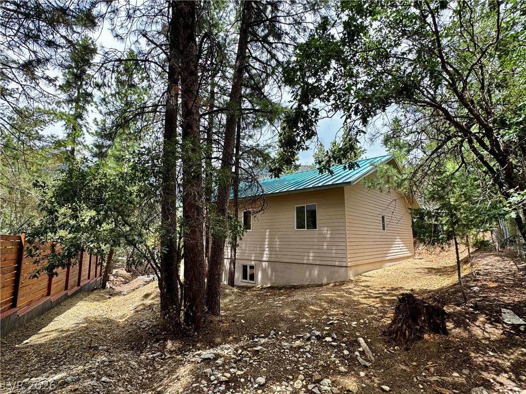 314 Alpine, Mount Charleston, NV 89124