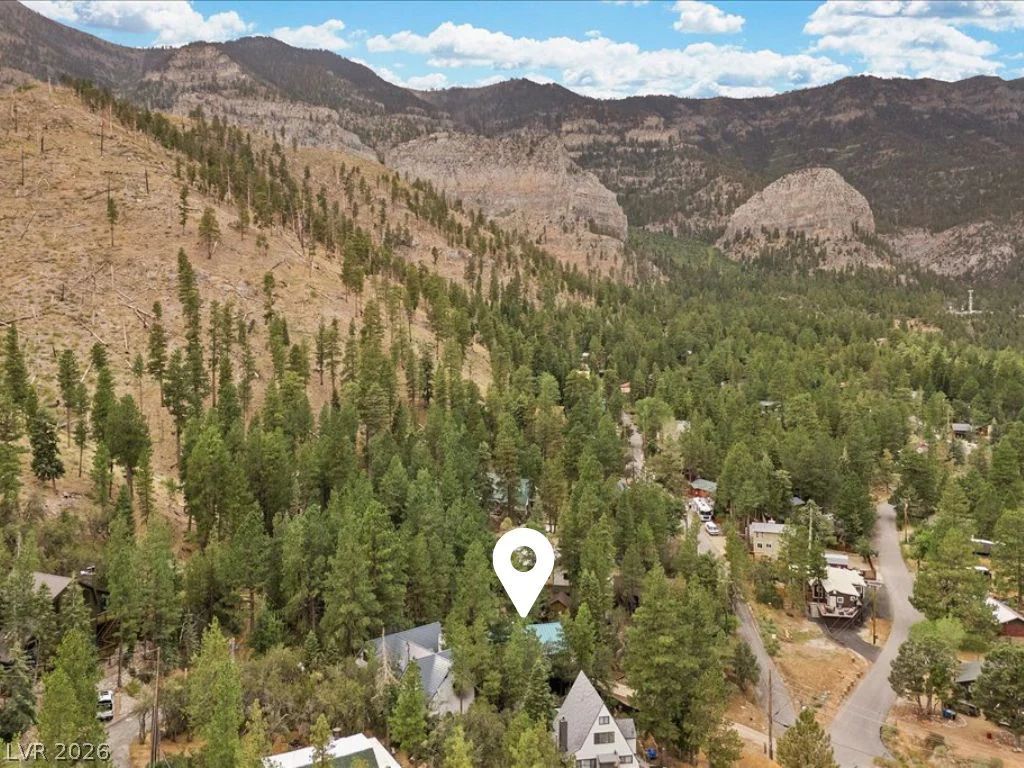 314 Alpine, Mount Charleston, NV 89124