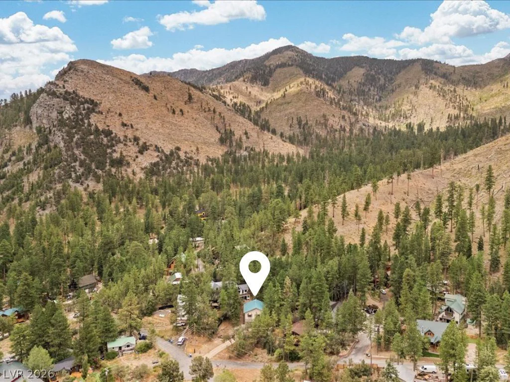 314 Alpine, Mount Charleston, NV 89124