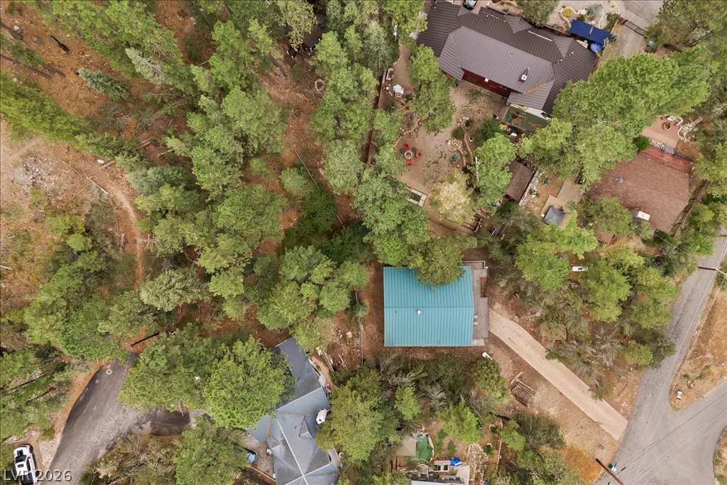 314 Alpine, Mount Charleston, NV 89124