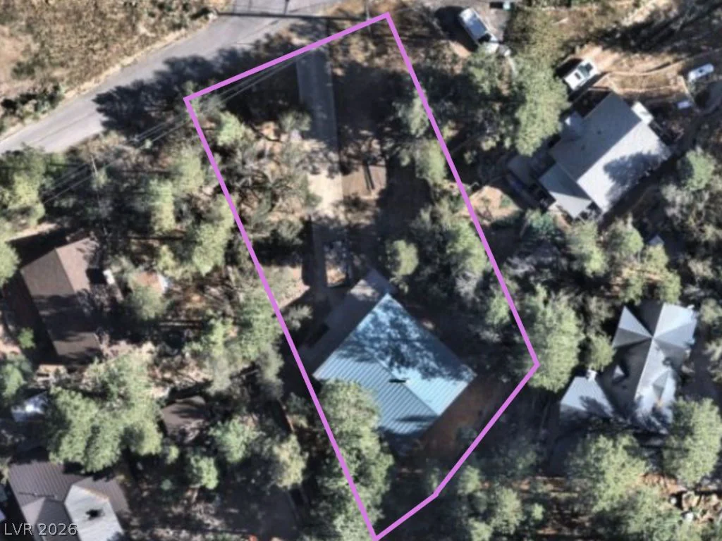 314 Alpine, Mount Charleston, NV 89124