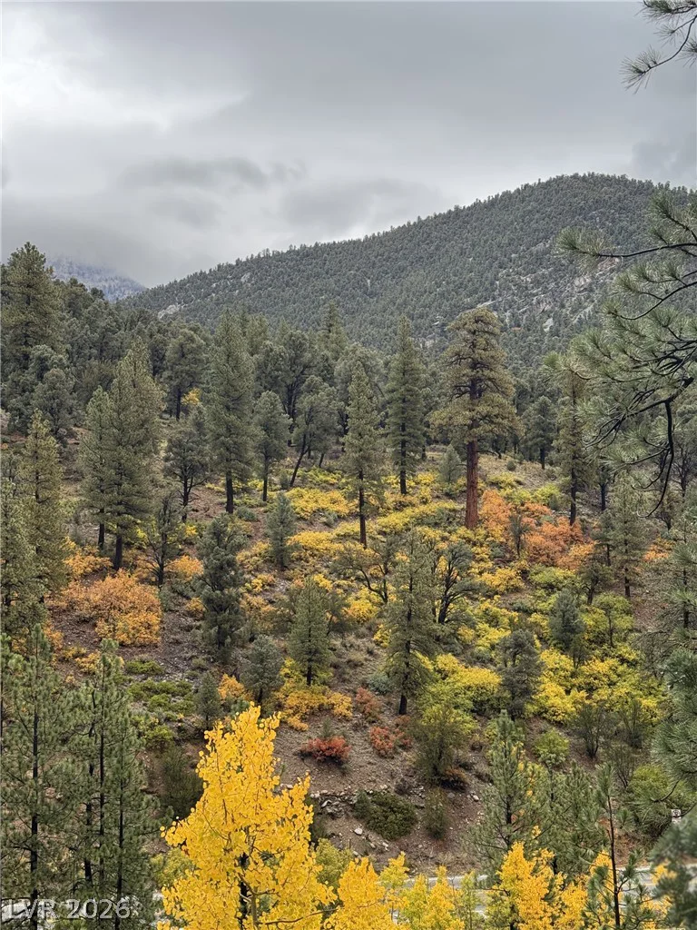 314 Alpine, Mount Charleston, NV 89124