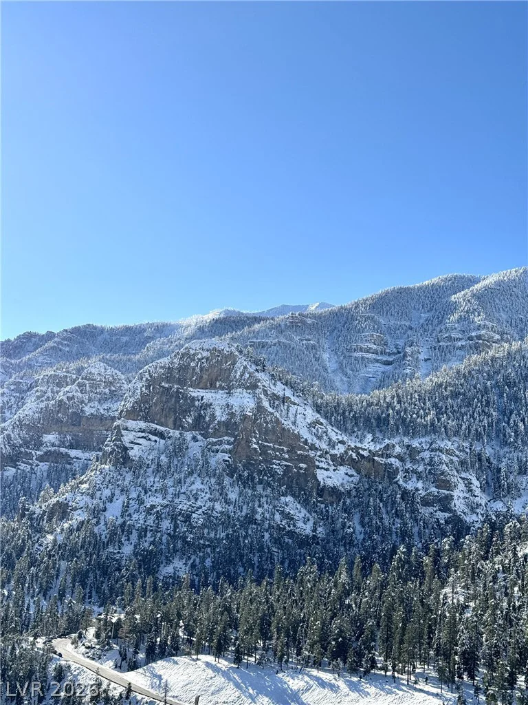 314 Alpine, Mount Charleston, NV 89124