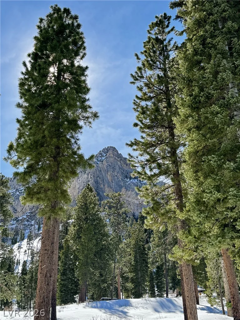 314 Alpine, Mount Charleston, NV 89124