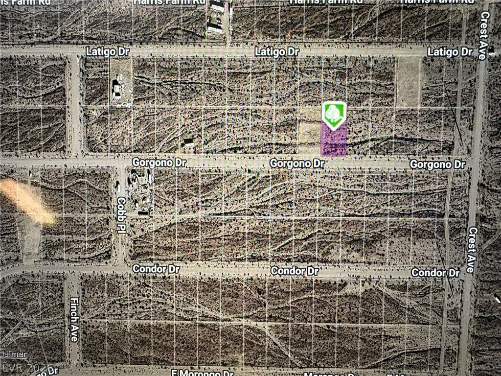 2880 Gorgono, Pahrump, NV 89060