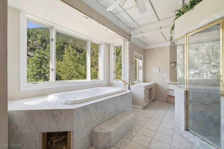 3910 White Fir, Mount Charleston, NV 89124