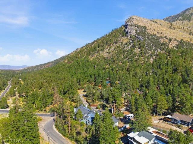 3910 White Fir, Mount Charleston, NV 89124