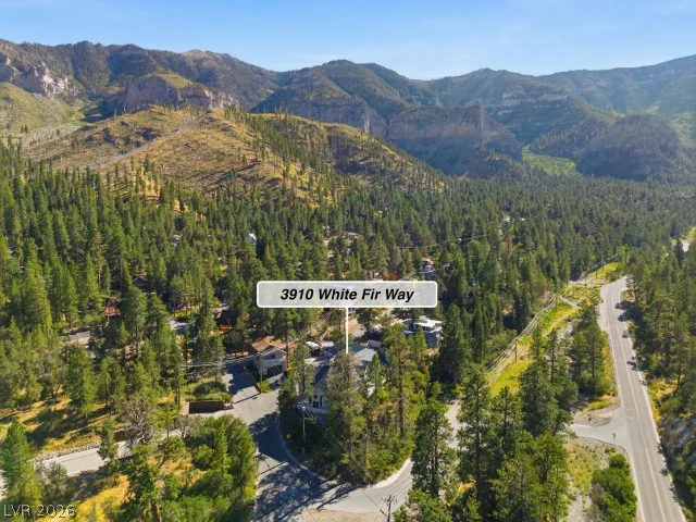 3910 White Fir, Mount Charleston, NV 89124