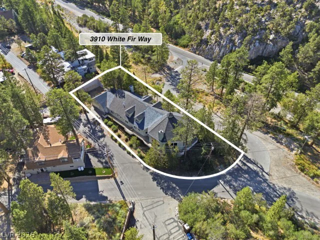 3910 White Fir, Mount Charleston, NV 89124