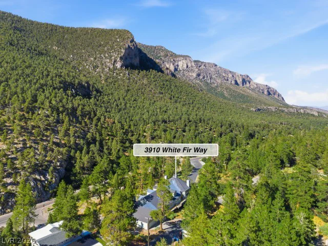 3910 White Fir, Mount Charleston, NV 89124