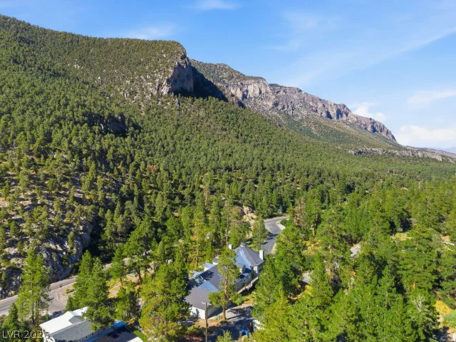 3910 White Fir, Mount Charleston, NV 89124