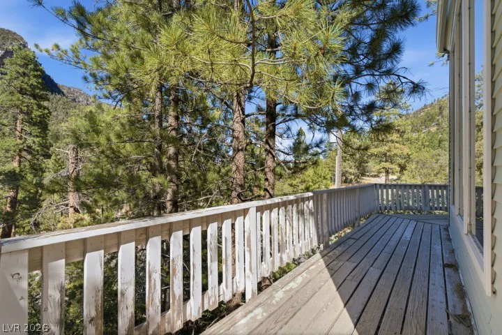 3910 White Fir, Mount Charleston, NV 89124