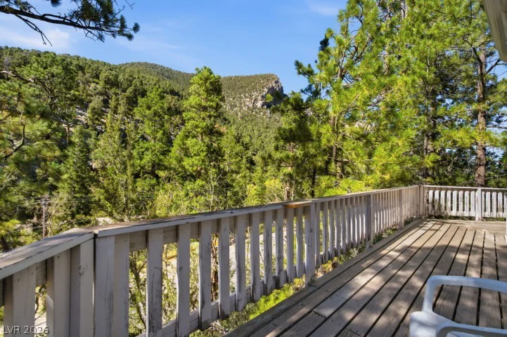 3910 White Fir, Mount Charleston, NV 89124