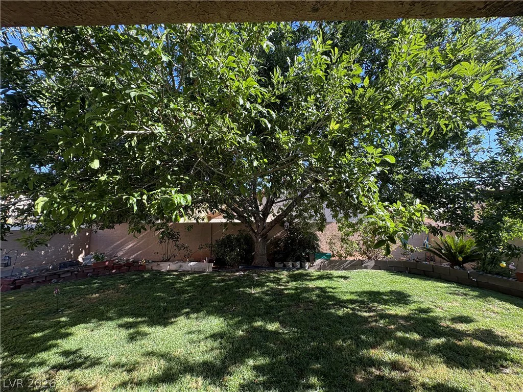 132 Cora Hills, Las Vegas, NV 89148