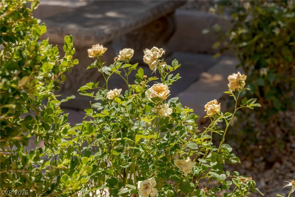 17 Winding, Henderson, NV 89052