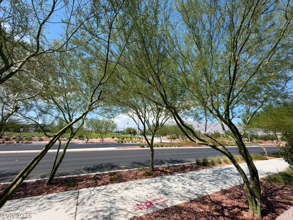 3936 Snow Fawn, North Las Vegas, NV 89084