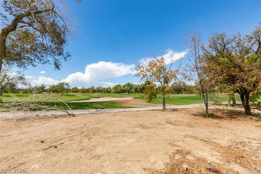 483 Indigo Springs, Henderson, NV 89014