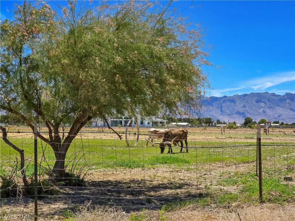 3543 Malheur, Pahrump, NV 89061