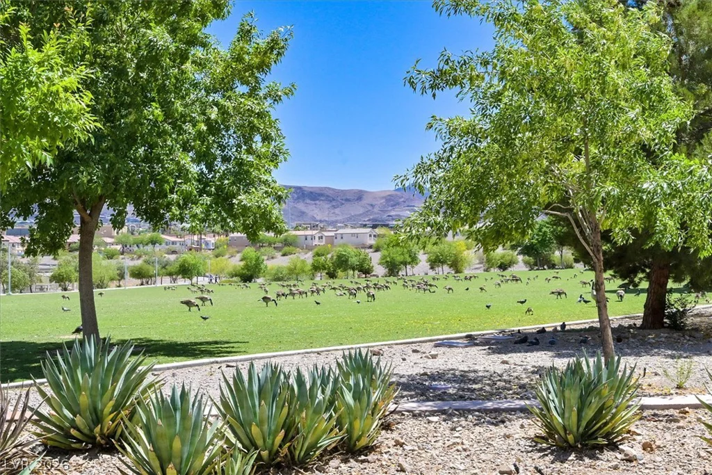1429 Still Creek, Henderson, NV 89074