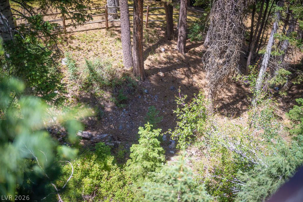 4146 Tyrol, Mount Charleston, NV 89124