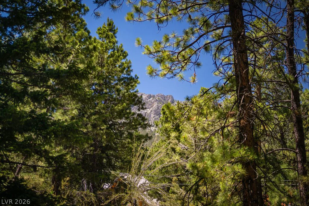 4146 Tyrol, Mount Charleston, NV 89124
