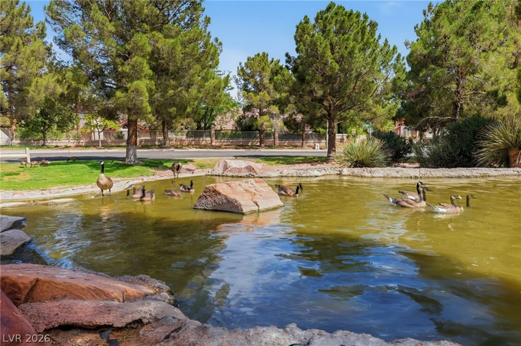 9725 Cascade Falls, Las Vegas, NV 89117