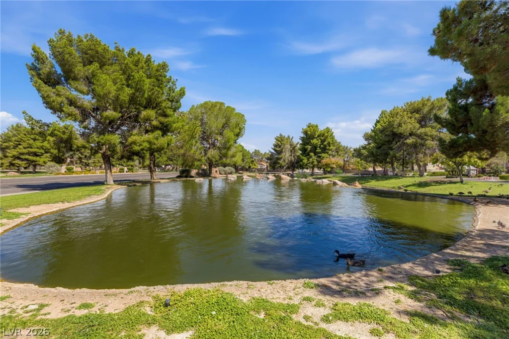 9725 Cascade Falls, Las Vegas, NV 89117