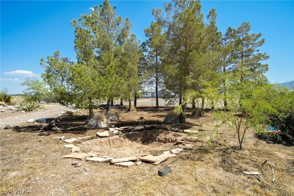 4310 Assay, Pahrump, NV 89060
