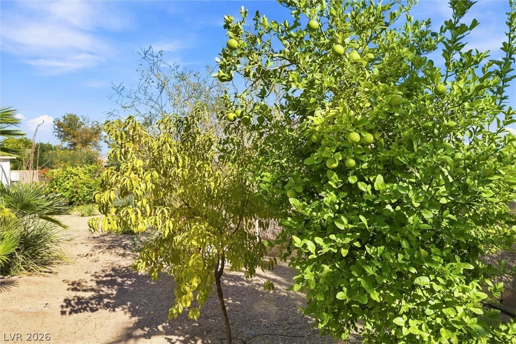 5321 Deerfield, Pahrump, NV 89061