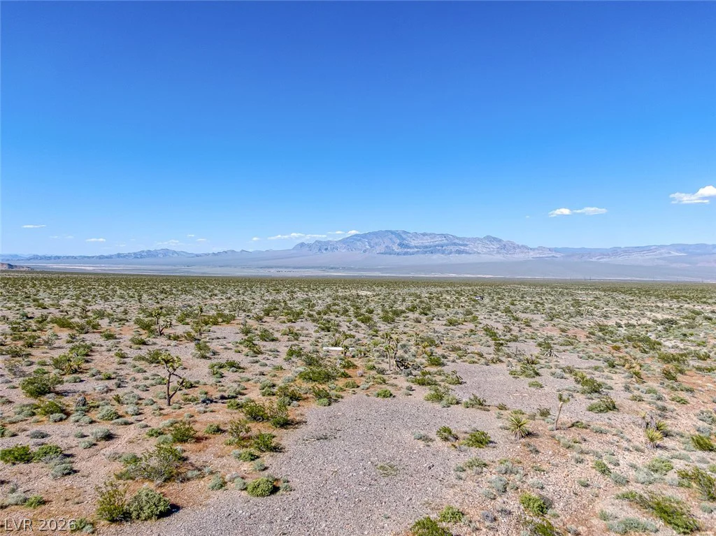 Scottie, Las Vegas, NV 89166