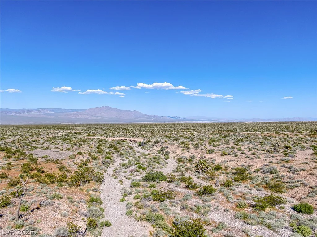 Scottie, Las Vegas, NV 89166