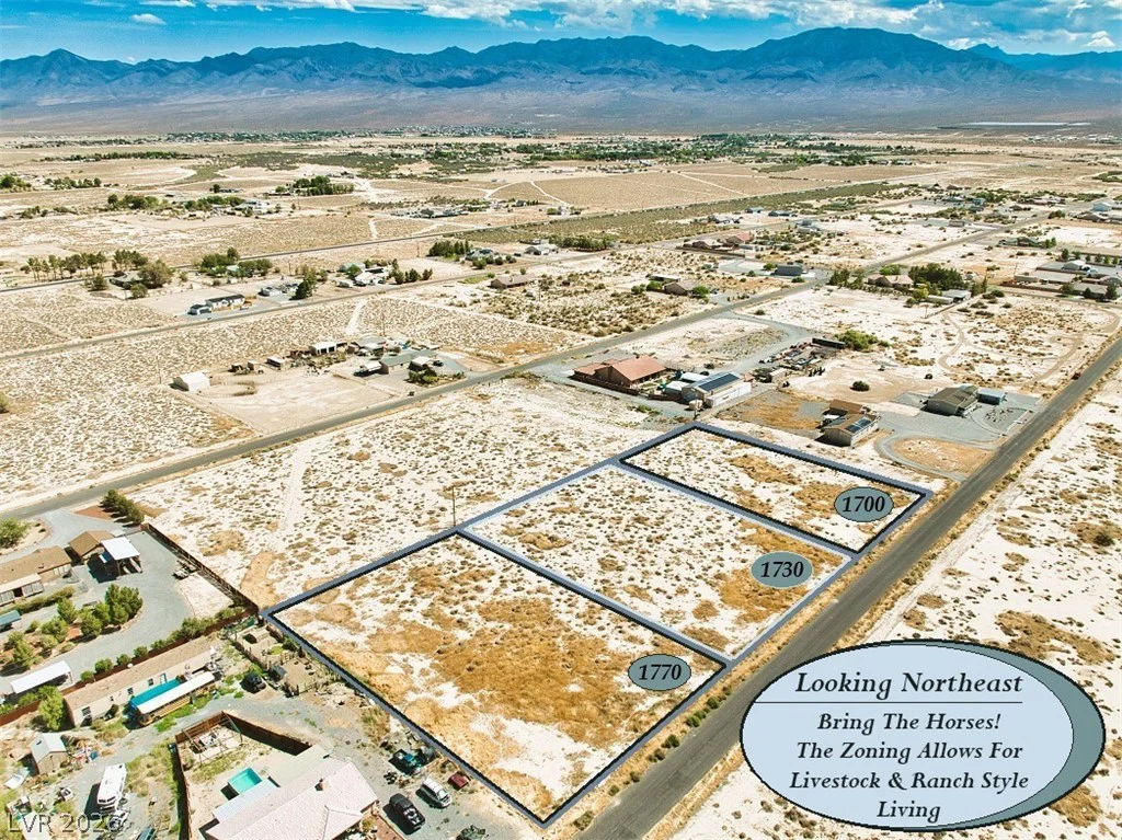 1770 Georgene, Pahrump, NV 89060
