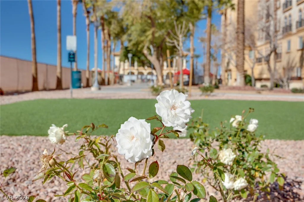 2455 Serene, Las Vegas, NV 89123