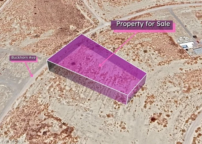 671 Buckhorn, Pahrump, NV 89060
