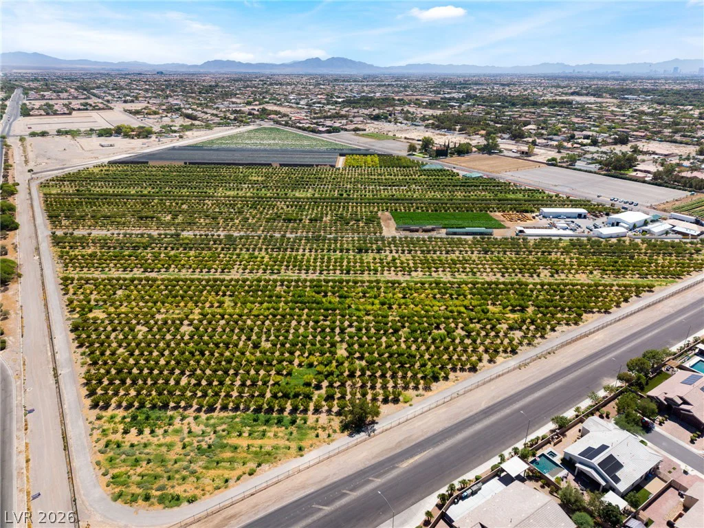 7310 Fruitful Harvest, Las Vegas, NV 89131
