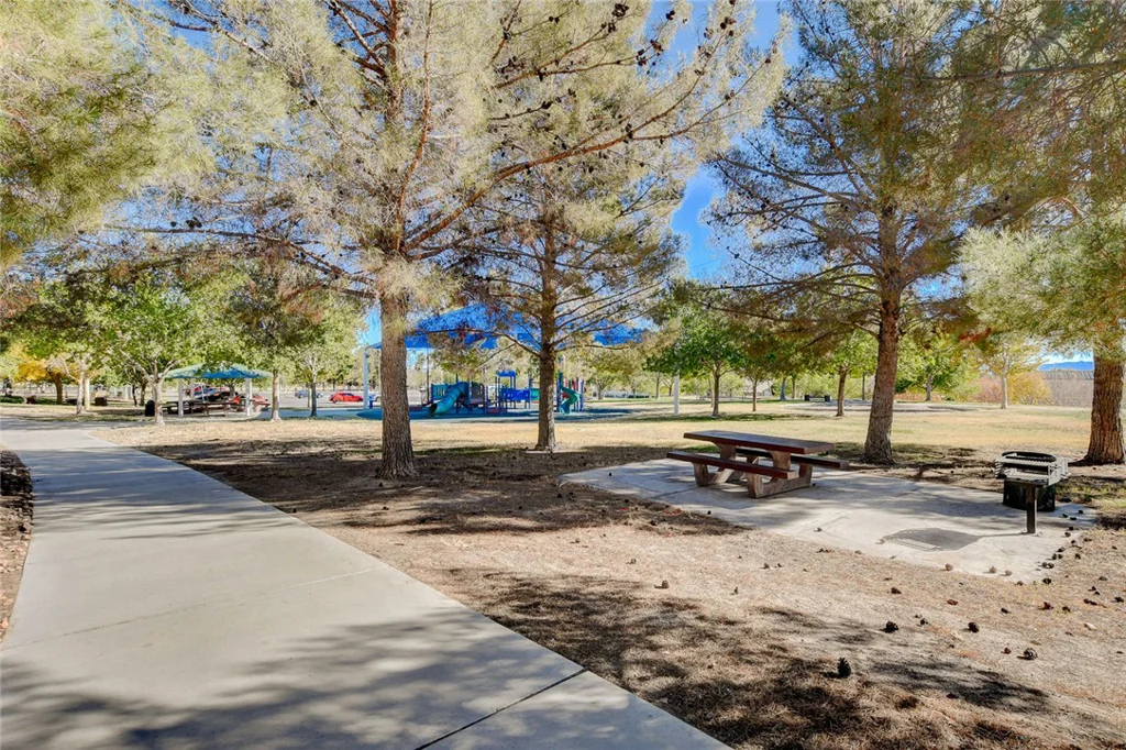 523 Braided River, North Las Vegas, NV 89084